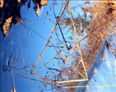 Geometry exists not just in math, but also nature. After winter's heavy snowfall, we melt and meet with the Earth again. : by indiabedson, Views[254]