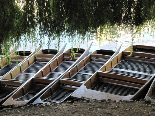 Just one hour drive form a bustling city and you can immerse into green shadows of Cambridge park and river for a weekend romance. The place I've visited - UK - has many faces.