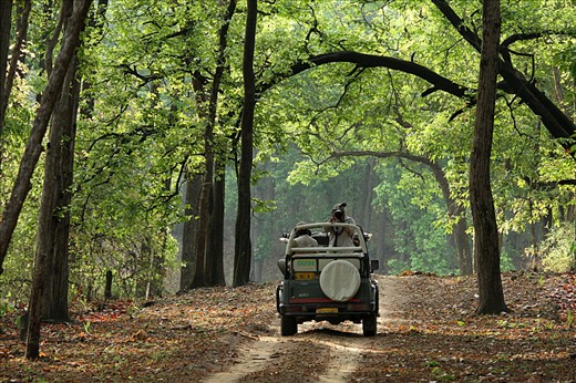 This is Triger reserved forest..