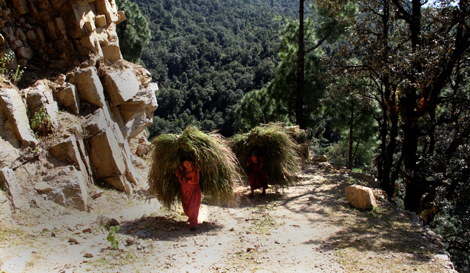 A village woman at work in your winter stock for fuel