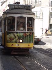Tram 28 on its usual route: by ines_figueiredo, Views[195]