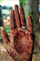 where the spirituality is written on the body: by inindia, Views[260]