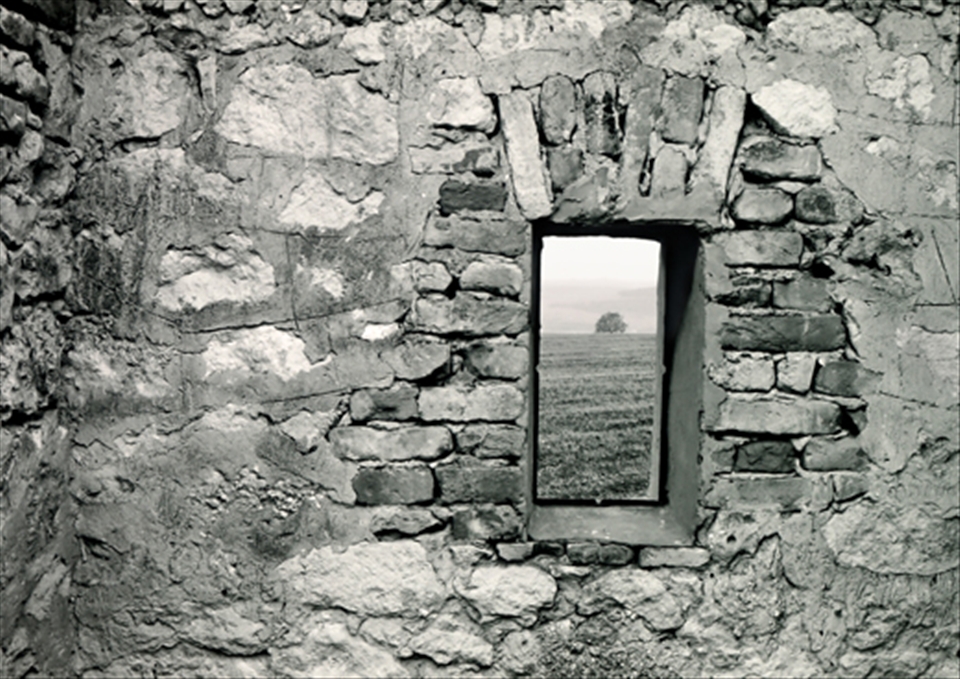 The only one tree in the frame of an abandoned house.
