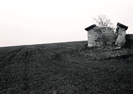 World peered through the roof and became my new home.