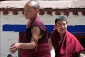Monks debate daily at the Sera Monastery : by instatravelhub, Views[209]