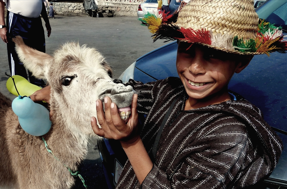 A local Moroccan boy with his donkey couldn't have been happier to 'SMILE