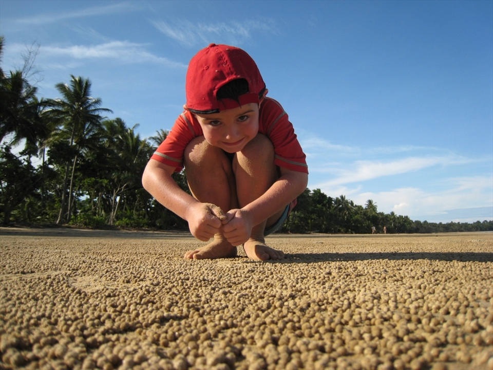Mission beach, millions of sand crab pellets on the beach