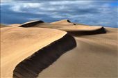 The arid environments of Australia tell many unique stories. They tell of ancient landscapes, of survival and of unforgiving elements. This image, part of a series on desolation and desertification, speaks to how dunes move – how they advance and retreat to the rhythm of the wind. : by irc1111, Views[683]