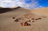 Here lies the remains of an early outback dwelling – broken rock littering the desert floor. This building, destroyed by the movement of the dunes, is successively hidden and revealed as a function of the wind. The image speaks to the human drama of survival in a challenging environment. : by irc1111, Views[640]