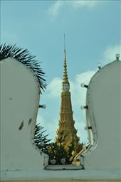 by irene_escude, Views[309]