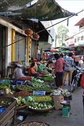 by irene_escude, Views[188]