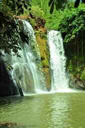 by irene_escude, Views[147]