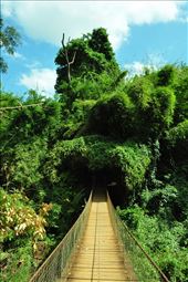 by irene_escude, Views[135]