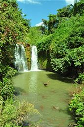 by irene_escude, Views[115]