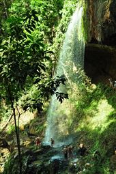 by irene_escude, Views[136]