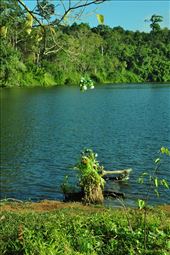 by irene_escude, Views[157]