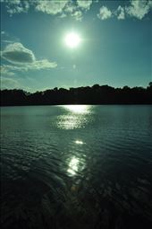 by irene_escude, Views[136]