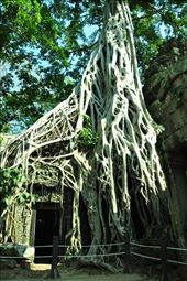 by irene_escude, Views[120]