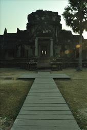 by irene_escude, Views[161]