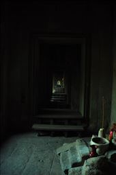 by irene_escude, Views[141]