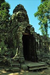 by irene_escude, Views[170]