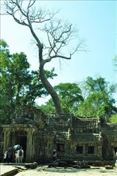 by irene_escude, Views[183]