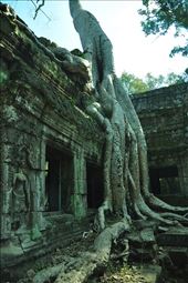 by irene_escude, Views[174]