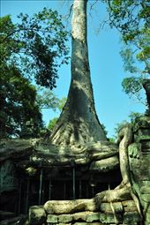 by irene_escude, Views[152]