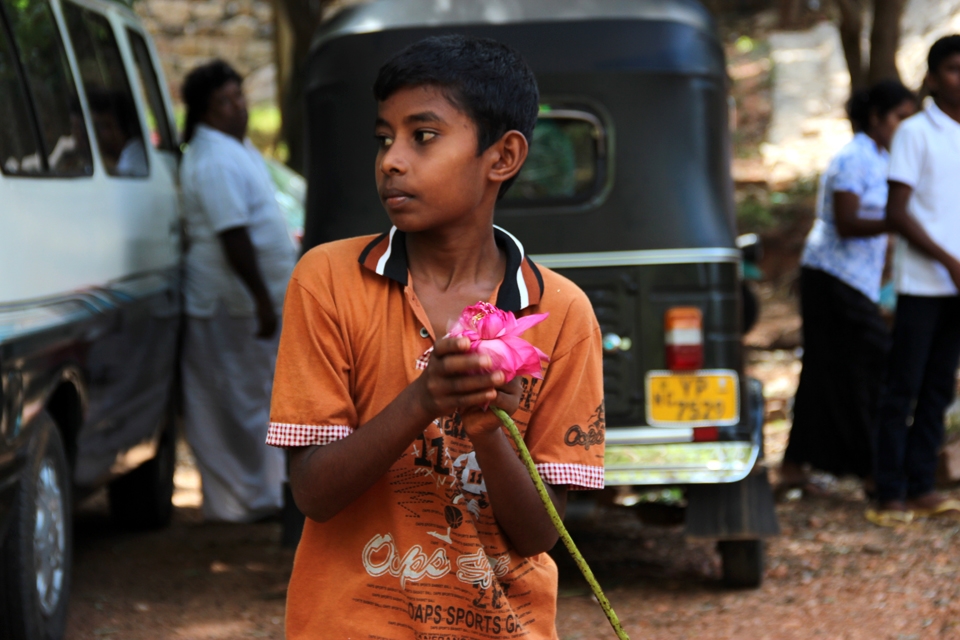 A boy opening up lotus and selling them to devotee for morning pray in Sigiria