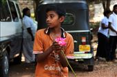 A boy opening up lotus and selling them to devotee for morning pray in Sigiria: by ireneb, Views[484]
