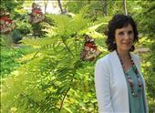 Conection with Nature allows grow: by irenefocus, Views[360]