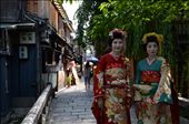 (5) Unfortunately many of the “geisha” tourists think they see on the streets turn out to be tourists themselves – for a fairly modest price one can have a “geisha experience” where they are dressed up in traditional kimono and made up so they can wander the streets of Gion for a couple of hours. It’s a poignant thought that this trade is booming when the numbers of geisha themselves dwindle and the “floating world” they’re said to exist in will soon sink.: by irinaearnshaw, Views[1093]
