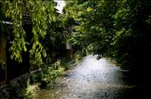(4) Shirakawa canal in Gion, Kyoto. One would be forgiven for thinking you were in a small town in the mountains – the stone bridges crossing the river to the ryokan (traditional Japanese inns) and the wind in the trees give a quiet and picturesque atmosphere in the hustle and bustle of the city. It is here that many tourists gather in the hope of spotting a Geisha scurrying to an appointment, and the complaints from geisha of being hassled by tourist paparazzi have increased in recent years. : by irinaearnshaw, Views[1156]