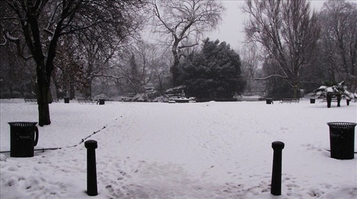 The colorful Irish peope appreciate black, white and the tones in between on winter.