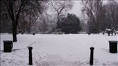 The colorful Irish peope appreciate black, white and the tones in between on winter.: by irish, Views[276]