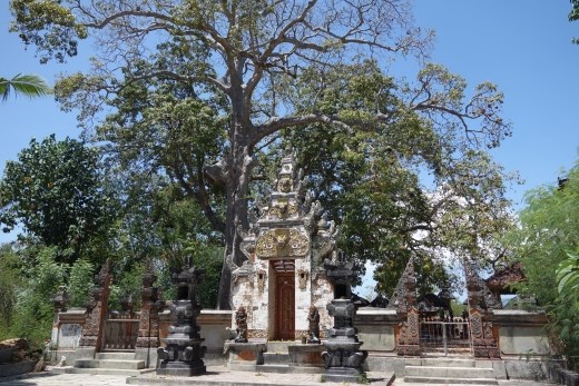 Een van de vele pura's hier op het eiland