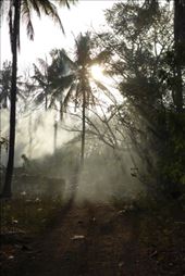 by irko_mirjam, Views[266]