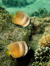 by irko_mirjam, Views[198]