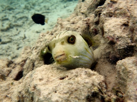 Lachen naar de camera?