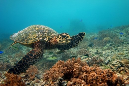 Groeten aan iedereen