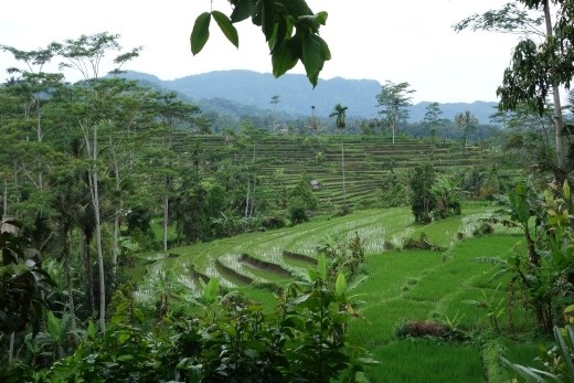 Onze achtertuin in Sidemen