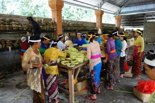 Voorbereidingen voor de belangrijkste volle maan ceremonie van het jaar in Tirta Empul
