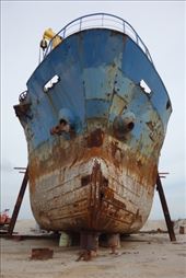 by irko_mirjam, Views[235]