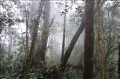 Soms was er regen, soms was er zon, maar nog vaker was er mist: by irko_mirjam, Views[229]