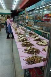 Nijverheid in een chinees kruidenwinkeltje: by irko_mirjam, Views[240]