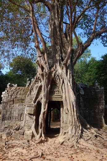 De achteringang van Ta Som