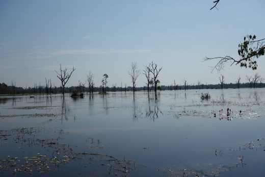 Dit kunstmatige meer van de Khmer is na vele jaren bos te zijn geweest onlans we