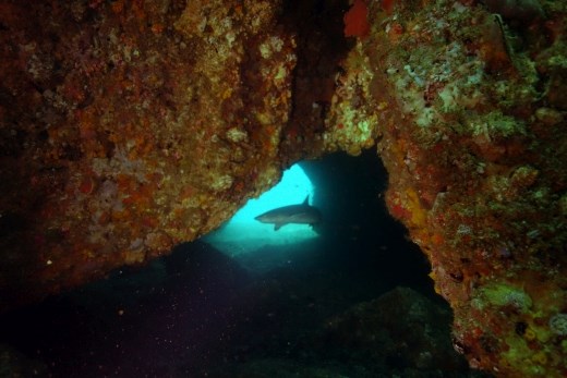 In sommige grotten wacht een verrassing