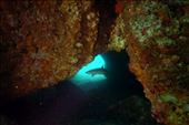 In sommige grotten wacht een verrassing: by irko_mirjam, Views[260]