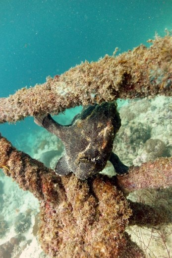 ze zijn niet altijd moeders mooiste